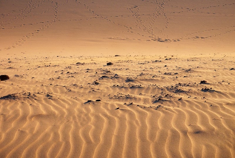 Dune Bashing